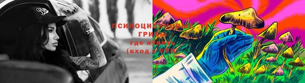 PSILOCYBIN Нефтегорск