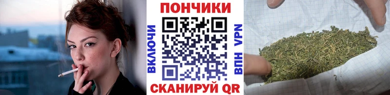 Каннабис Amnesia Кущёвская
